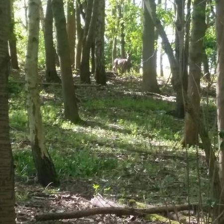 Westhurst Park Bnb Bredon Kültér fotó