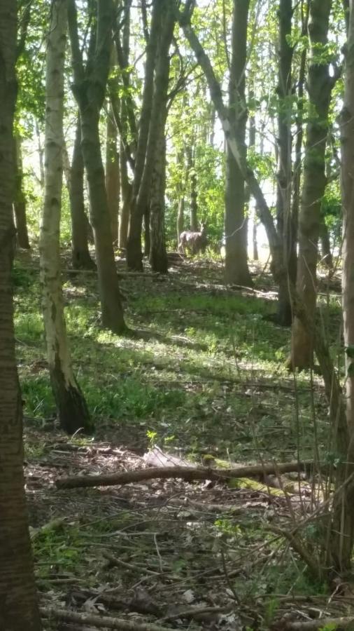 Westhurst Park Bnb Bredon Kültér fotó
