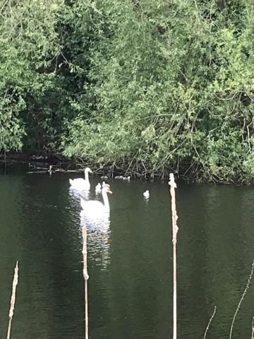 Westhurst Park Bnb Bredon Kültér fotó